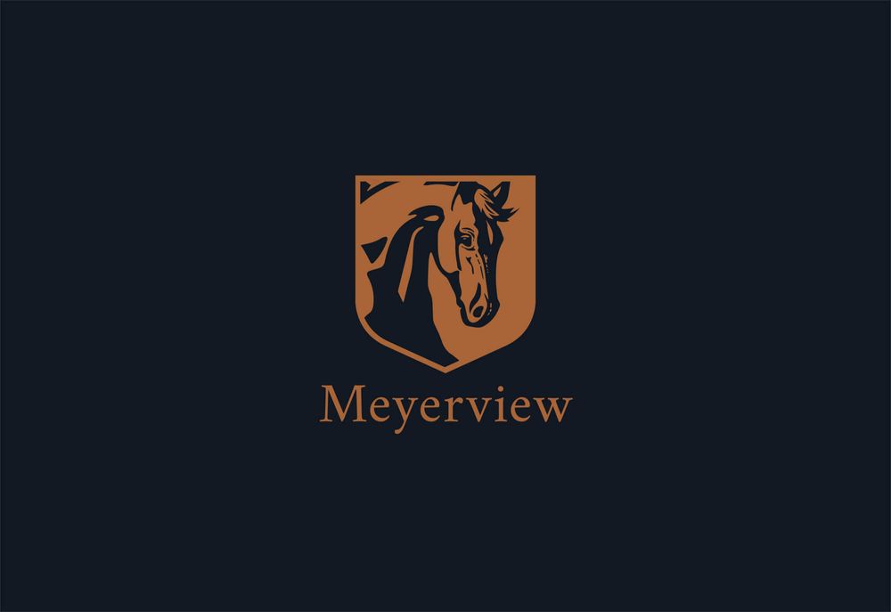 Meyerview logo colourway 2