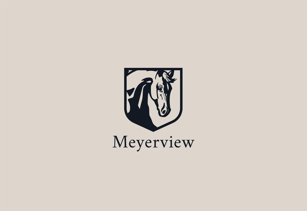 Meyerview logo colourway 1